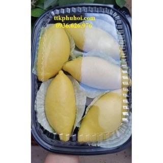 50 Hộp nhựa ht203 đựng cơm bánh sầu riêng