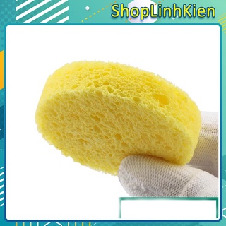 Bọt biển vệ sinh mũi hàn tròn 5cm