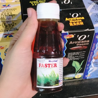 Phân Nước Faster Nuphar