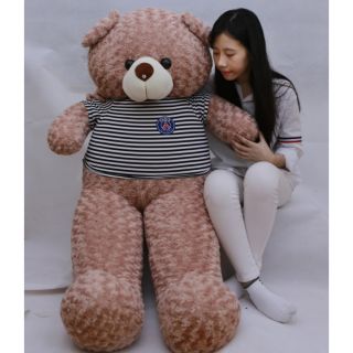 Thú nhồi bông, gấu bông teddy vani sữa,soocla khổ m8 cao m6 siêu to, khổng lồ