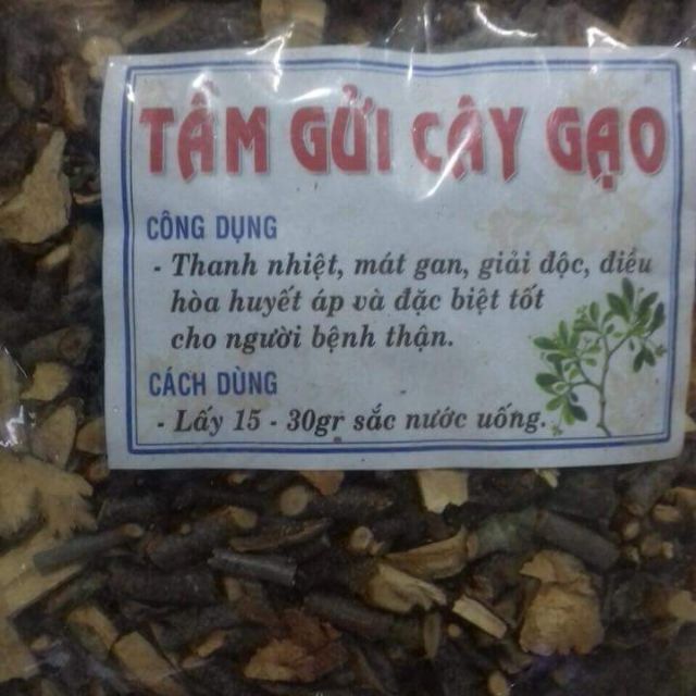 Tầm gửi cây gạo