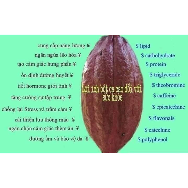 Combo 1kg Bột Cacao Nguyên Chất Đăk Lăk Loại 1: Thơm ngon, Bổ Dưỡng, Vị Đậm Đà (2 hủ 500gr)