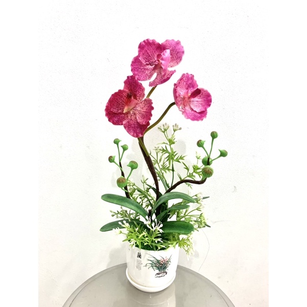 [Hàng Thái] Hoa nhựa cao cấp -Dòng Hoa Lan cao 40-45cm