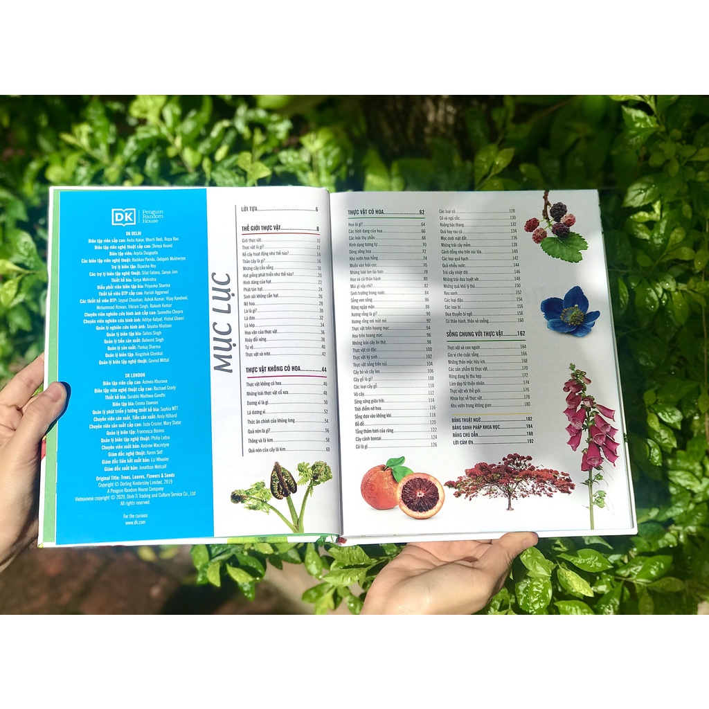 SÁCH - BÁCH KHOA THƯ VỀ THẾ GIỚI THỰC VẬT - CÂY, LÁ, HOA VÀ HẠT