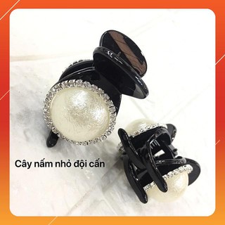 Kẹp càng cua đính ngọc