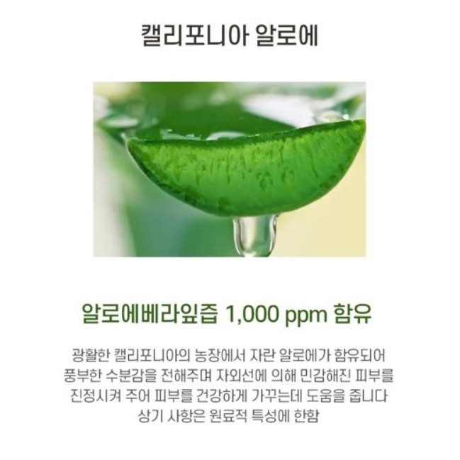 [ CÓ SẴN] Kem Chống Nắng Nature Republic Ice Sun California Aloe SPF 50+ PA+++