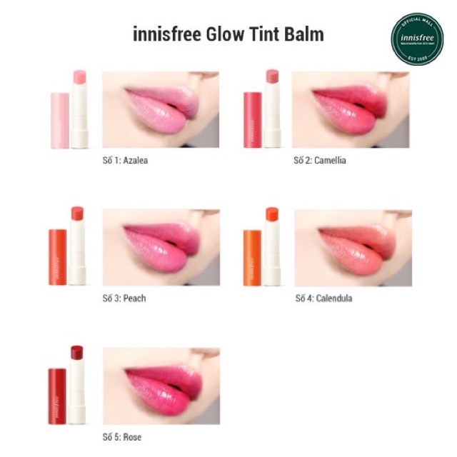 Combo Son có màu INNISFREE Glow Tint Lip Balm 3,5g