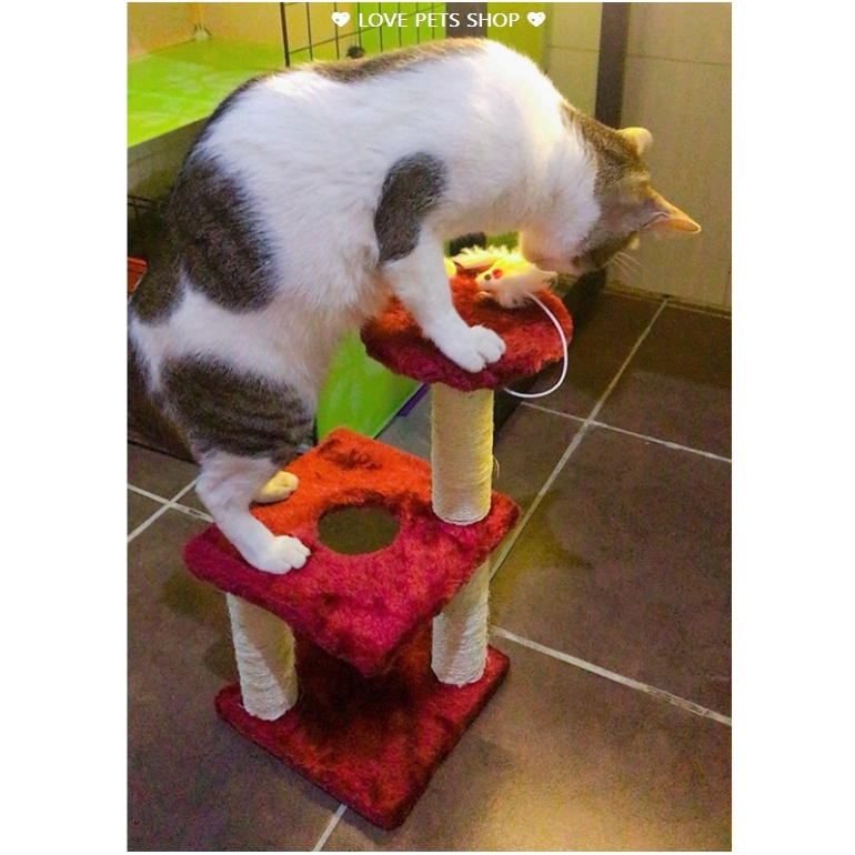 ĐỒ CHƠI MÈO, TRỤ CÀO MÓNG CHO MÈO - LOVE PETS SHOP