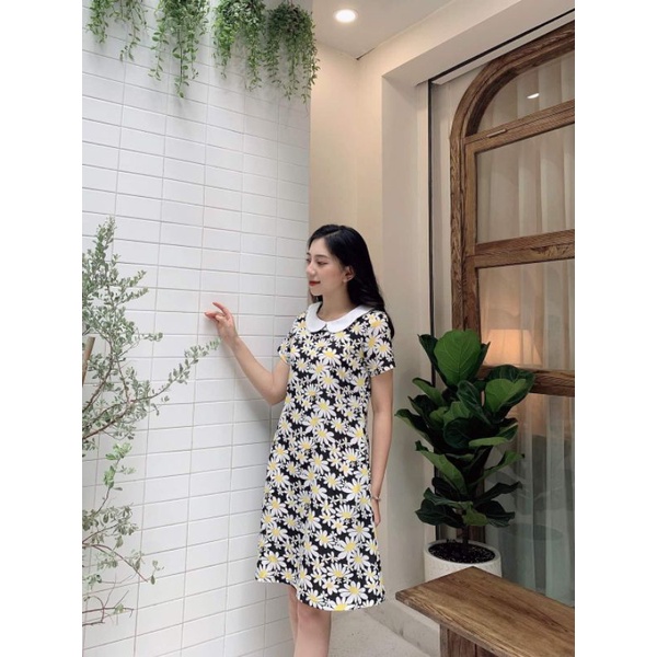 váy suông cổ sen trắng