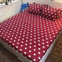 Ga gối cotton poly