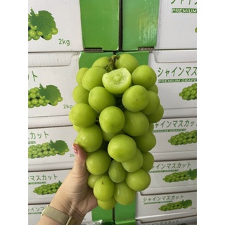 1 chùm nho mẫu đơn đài loan