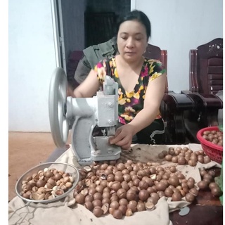 [Macca sấy] 100gr Nhân hạt Macca nguyên hạt
