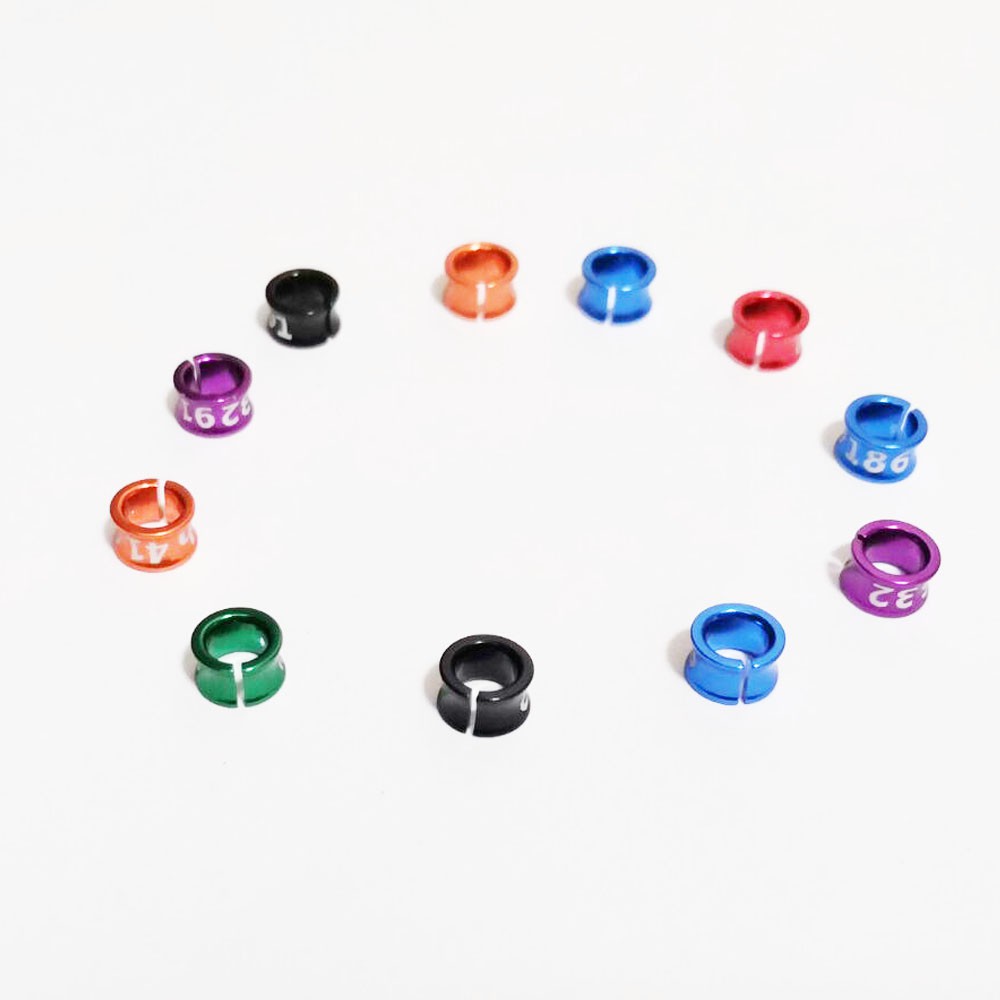 Set 10 Vòng Đeo Chân 4mm//5mm/6mm/7mm Hình Chim Bồ Câu/Chim Bồ Câu Luyện Tập Chân