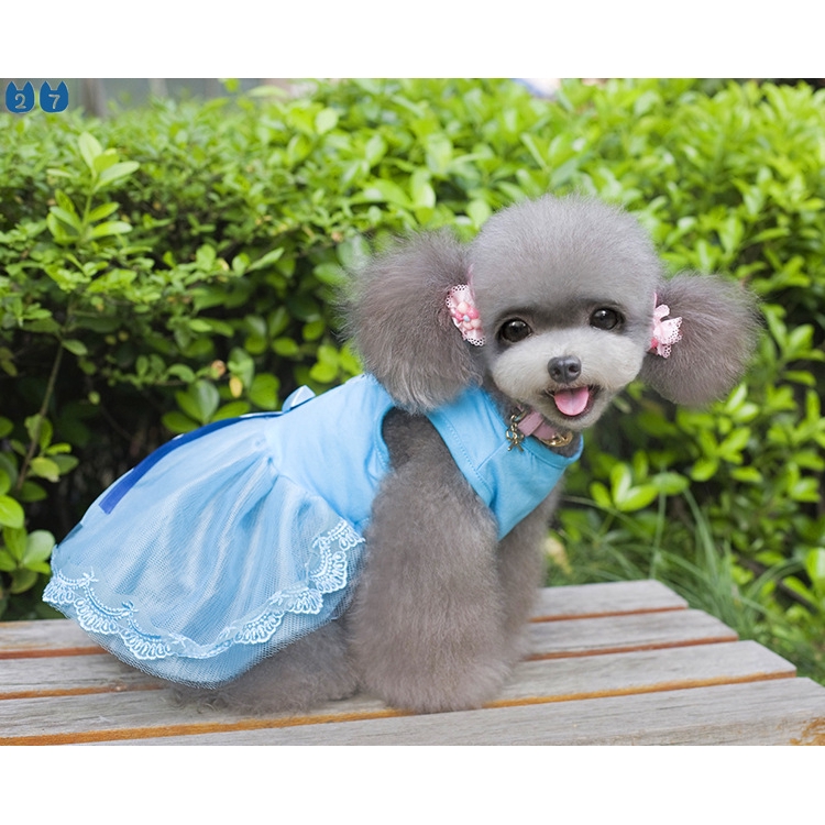 {27Pets} Váy Và Váy Phong Cách Mới Mùa Xuân Hè Cho Thú Cưng / Mèo / Gấu Teddy Bomei