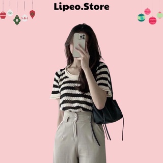 Áo len mỏng tay ngắn kẻ sọc, áo dệt kim croptop