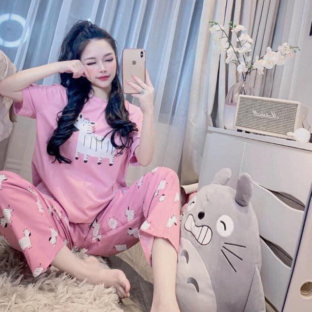 Đồ Bộ Thun Nữ Mặc Nhà Thời Trang