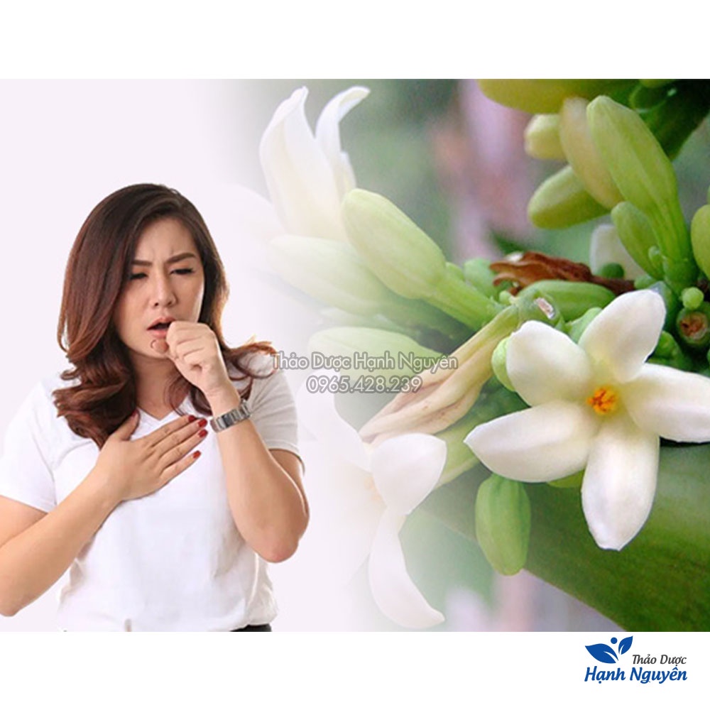 Hoa đu đủ đực sấy khô 1kg (hàng loại 1 nguyên bông, không lẫn cành) - Thảo Dược Hạnh Nguyên