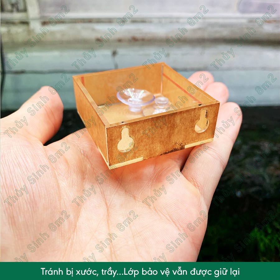 Chén thức ăn tép - Chén acrylic hít thành hồ - 8m2