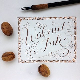 mực óc chó (walnut ink) lọ chiết 30ml