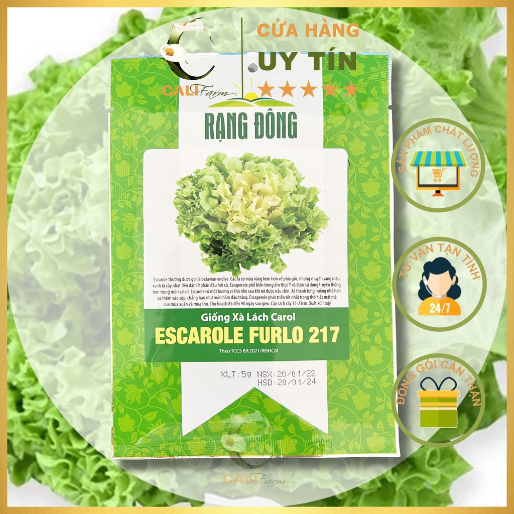 Hạt Giống Xà Lách Carol ESCAROL FURLO 217 gói 5gr