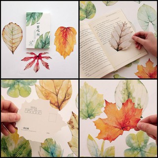 Bộ 30 postcard Nhất Diệp Tri Thu