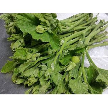 20H -  Hạt Giống Bí Siêu Ngọn (Cucurbita maxima) Thái Lan