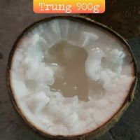 Dừa sáp