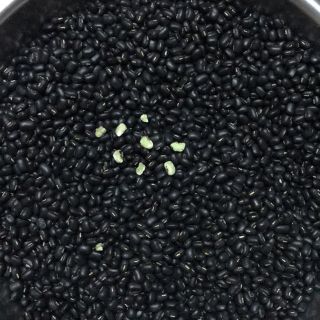 Đỗ đen quê sơn la 500gr
