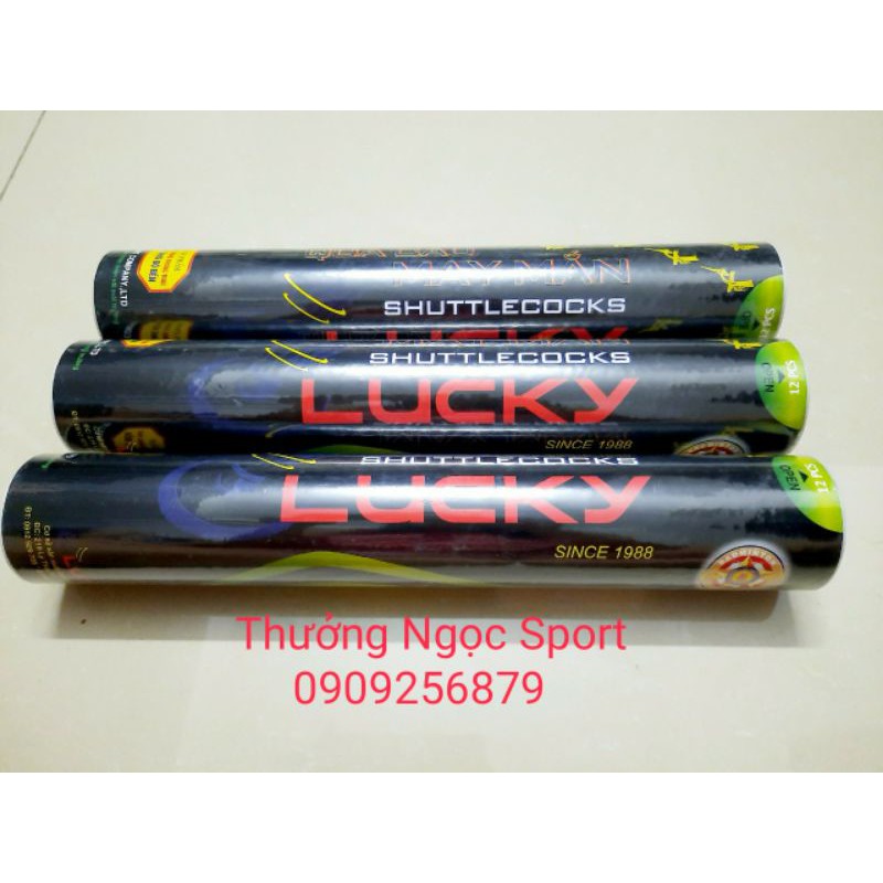 Cầu Lông Lucky 12Trái Tiêu Chuẩn Thi Đấu