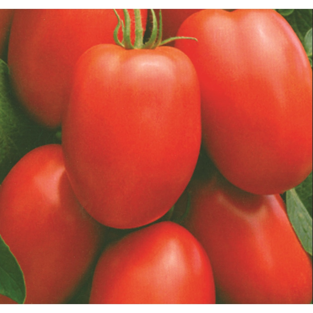 Phân gà Japadi gói 1kg NPK 4-3-4 hữu cơ nhập khẩu từ Nhật bản