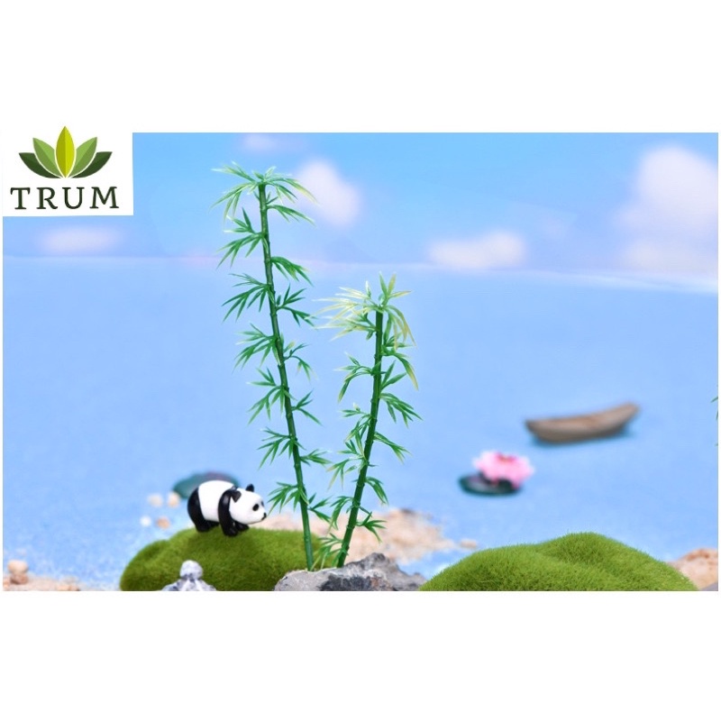 [Ảnh Tự Chụp] Cây Trúc Lớn Phụ Kiện Trang Trí Tiểu Cảnh Sen Đá Terrarium