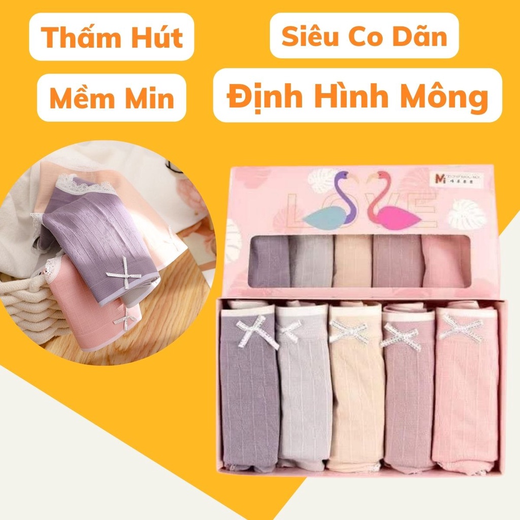 Quần Lót Nữ Thiên Nga Set 5 Quần Cao Cấp Siêu Co Dãn Nâng Mông Mềm Mịn Định Hình Mông Thấm Hút Tốt Angola_shop