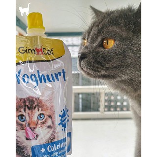 Sữa Chua Dành Cho Mèo GimCat thumbnail