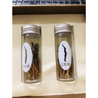 (1G 4 Con) Đông Trùng Hạ Thảo Na Khúc - Tây Tạng