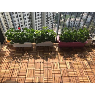Combo 10 Tấm Ván sàn gỗ tự nhiên lát ngoài trời 12 nam(vỉ nhựa)