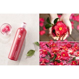 Dầu Gội Innisfree Camellia Essential Shampoo