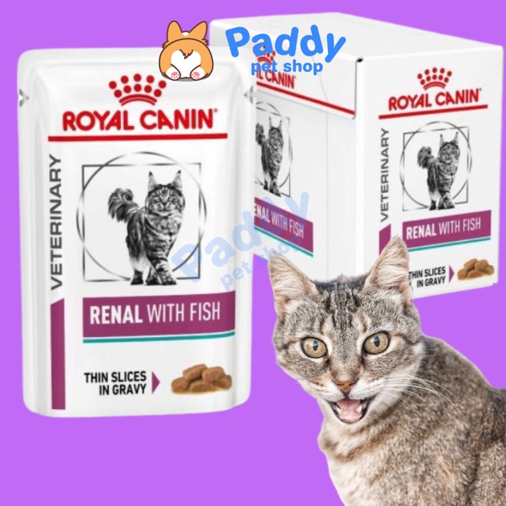 Pate Royal Canin Renal Cat Hỗ Trợ Mèo Bệnh Thận Vị Cá 85g