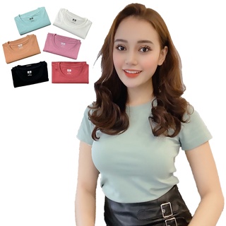 Áo thun nữ, Áo Phông Nữ Cổ Tròn, Cộc Tay, Form Ôm Đẹp, chất vải 100% cotton xịn đẹp