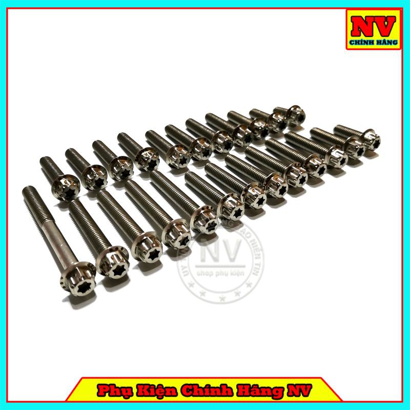 Bộ Ốc Lốc Máy Winner/ Winner X/ Ex150/ Ex135/ Ex2010/ Sirius/ Future/ Wave/ Dream/ Vario/ Satria/ Raider Mẫu Salaya