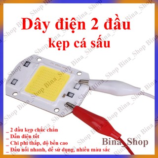 Dây Kẹp Cá Sấu 2 Đầu 45CM
