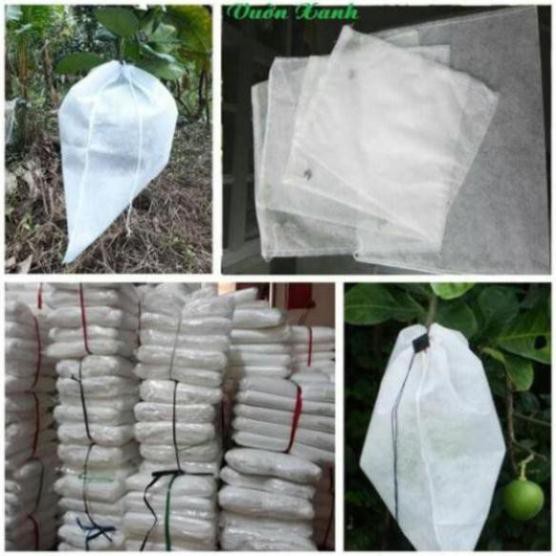 [FREESHIP_99K] Combo 175 túi bọc bưởi cho khách