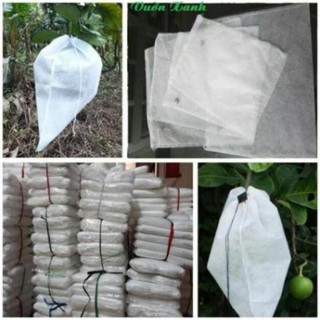 Combo 175 túi bọc bưởi cho khách