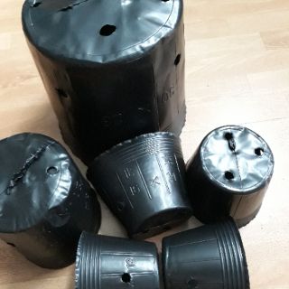 Bầu Ươm Cây