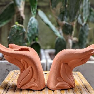 Chậu đất nung trồng cây