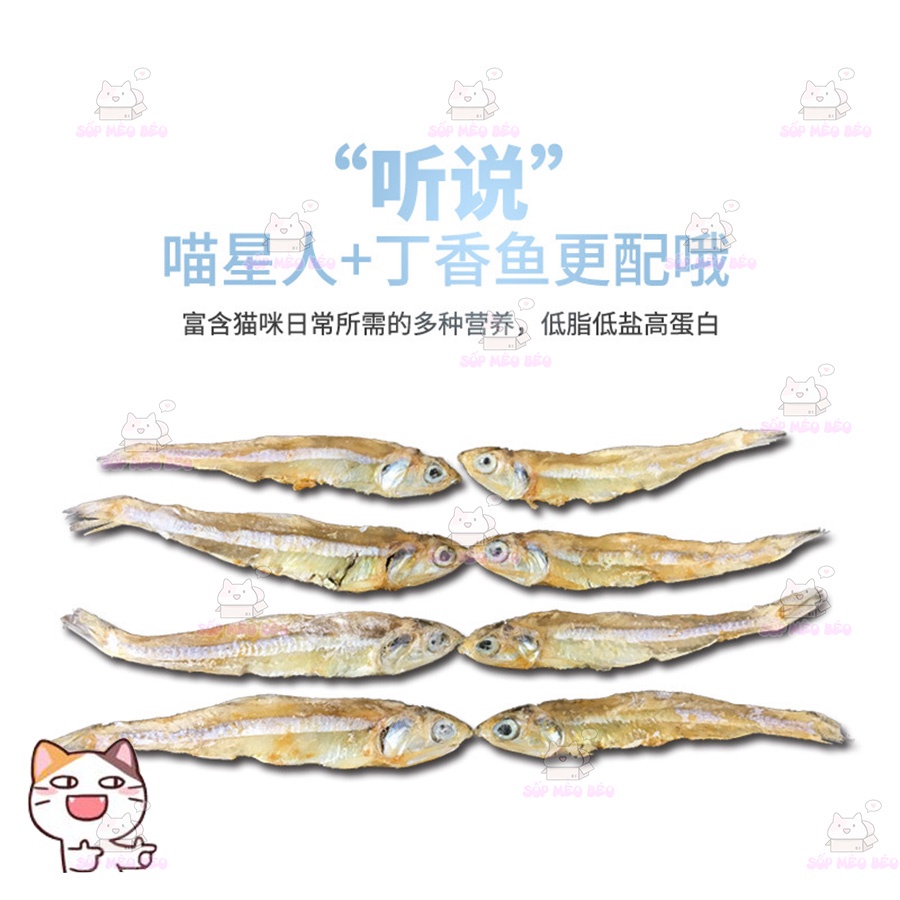 Cá cơm sữa sấy tẩm bơ Qing Dao gói 100gram ăn vặt cho Mèo