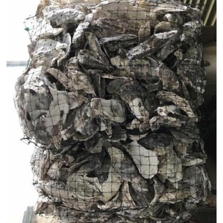 VỎ HÀU ION , vật liệu lọc giúp ổn định PH của hồ cá (bao 1.5kg và 2kg)