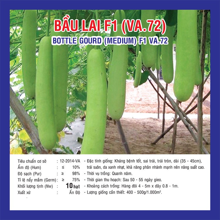 Hạt giống Bầu Lai F1  10 hạt
