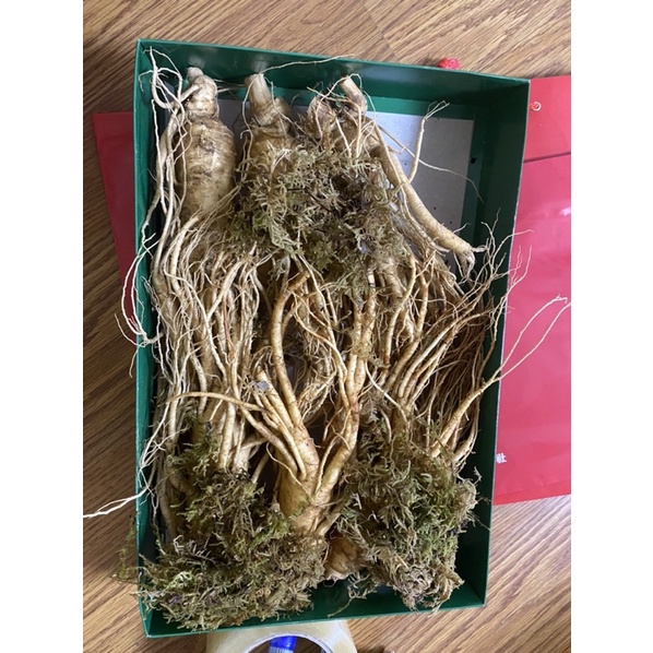 Nhân Sâm nguyên củ Hàn Quốc 1KG Loại to siêu phẩm 6 củ/Kg)