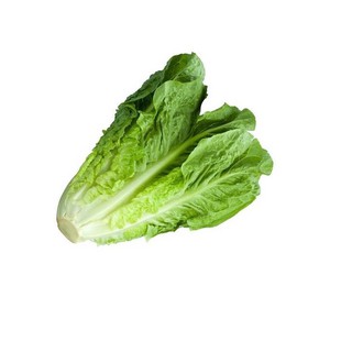 Hạt giống rau xà lách Romain- xà lách hoàng tử xanh gói 0,2 gram xuất xứ Italia