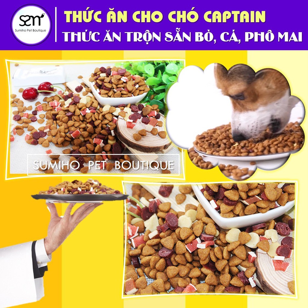 Hạt thức ăn cún cưng Captain (Túi 2.5Kg) trộn lẫn thịt bò, phô mai, cá hồi, rau củ